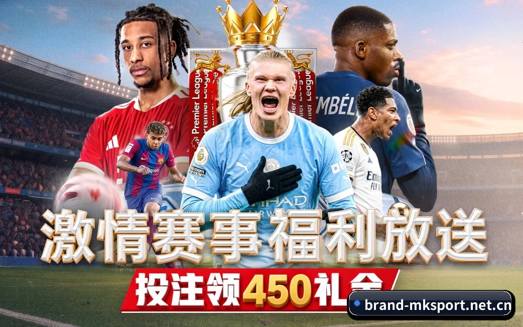 赛场脉搏与对阵日历全览