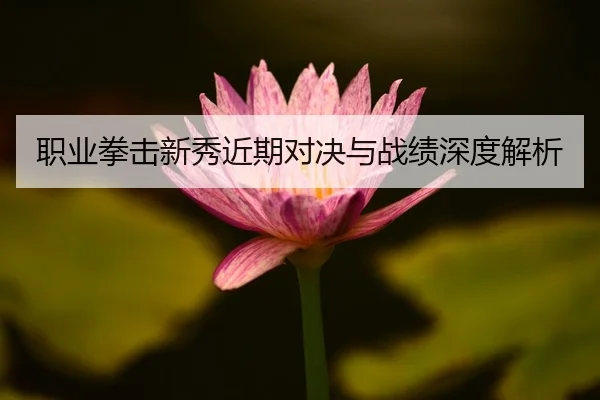 职业拳击新秀近期对决与战绩深度解析